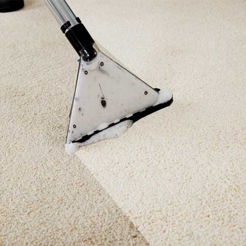 Anglia-Cleaners—Carpet-Gallery-1