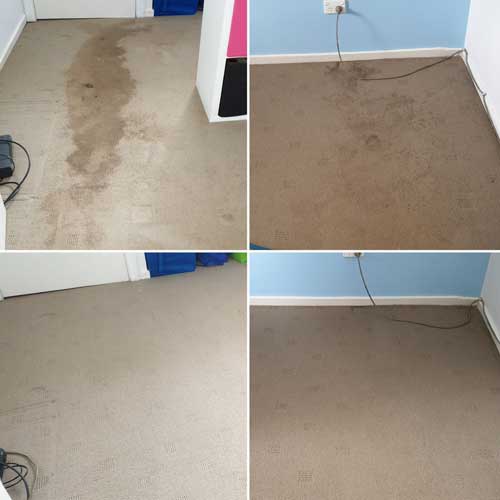 Anglia-Cleaners—Carpet-Gallery-4