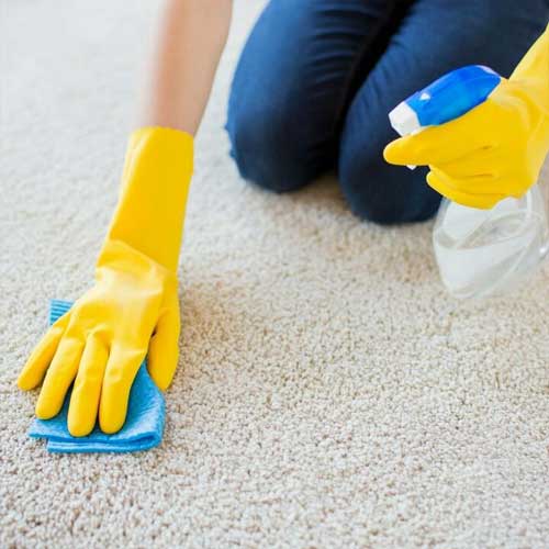 Anglia-Cleaners—Residential-Gallery-1